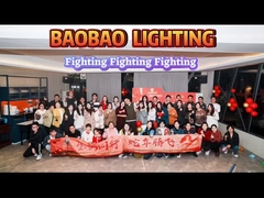 baobao lighting big family daily life
