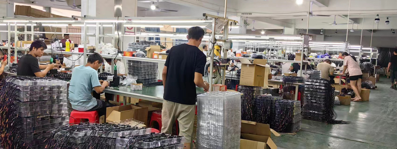 Guangzhou Baobao Lighting Co., Ltd. manufacturer production line